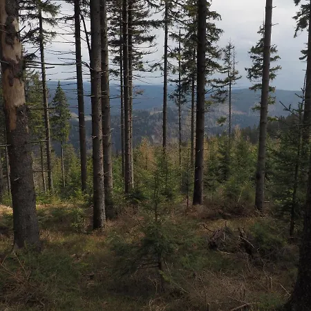 Apartmán Boho Dom Stronie Slaskie *