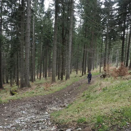 Boho Dom Stronie Slaskie Kletno