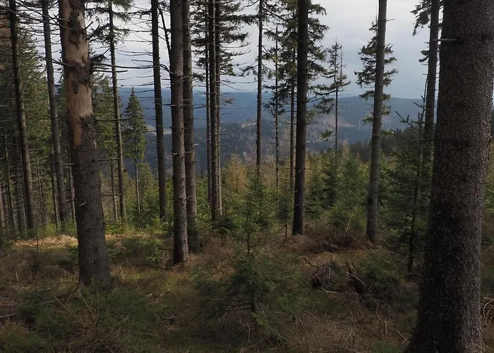 Apartmán Boho Dom Stronie Slaskie *