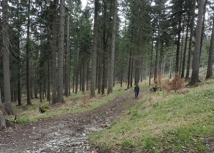 Boho Dom Stronie Slaskie Kletno