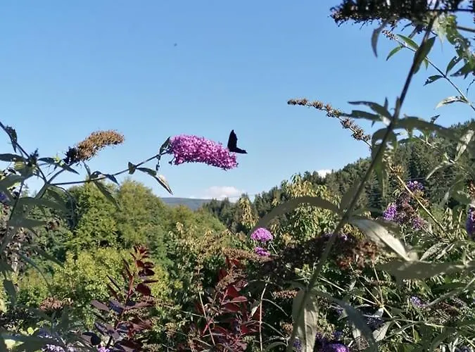 Boho Dom Stronie Slaskie Apartamento