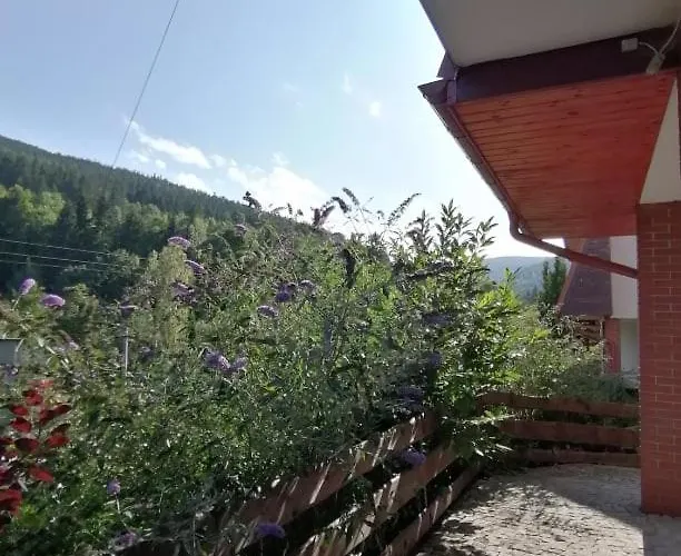 Boho Dom Stronie Slaskie Apartmán *